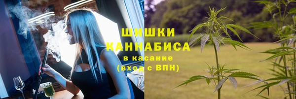 твердый Бронницы