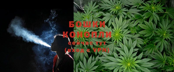 твердый Бронницы