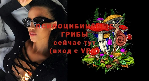 прущая мука Бородино