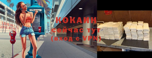 твердый Бронницы