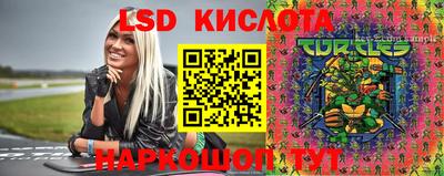 ПСИЛОЦИБИНОВЫЕ ГРИБЫ Краснознаменск