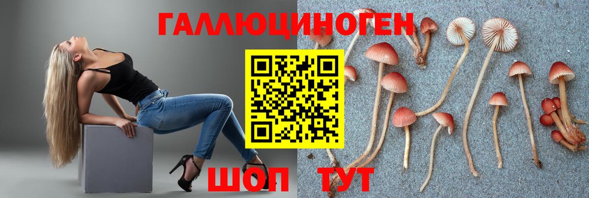 Галлюциногенные грибы Psilocybe Можга