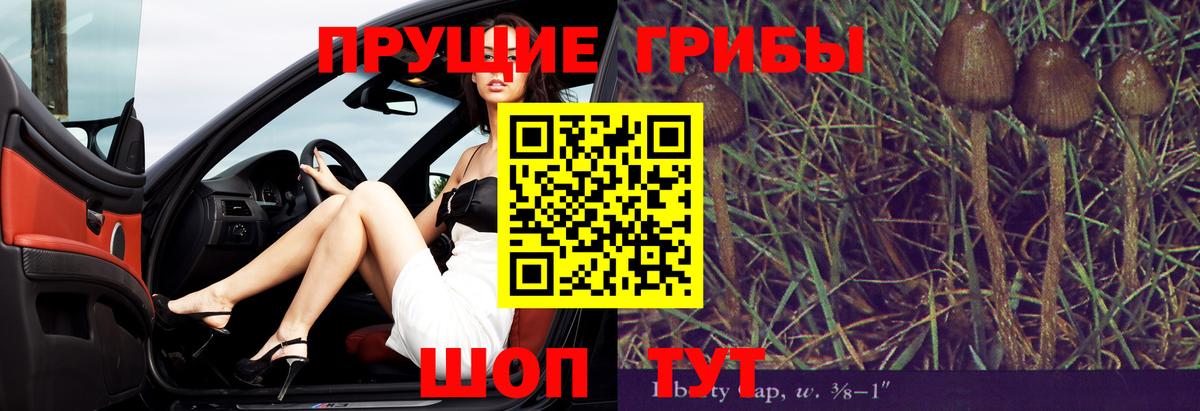 Можга  Галлюциногенные грибы Psilocybine cubensis  Вход с VPN 