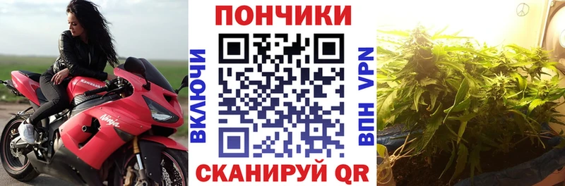 ссылка на мегу как войти это какой сайт Каннабис LSD WEED Можга